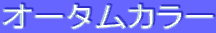 ƒI[ƒ^ƒ€ƒJƒ‰[