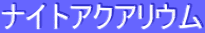 ƒiƒCƒgƒAƒNƒAƒŠƒEƒ€